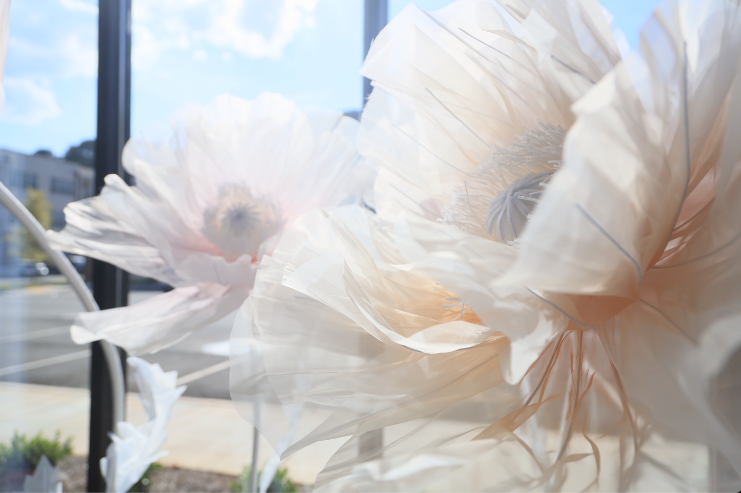 Ivory Shades Giant Flower