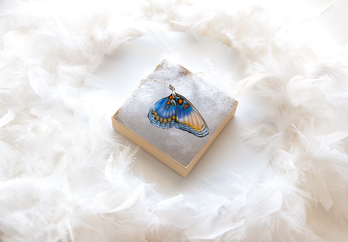 Butterfly Gift