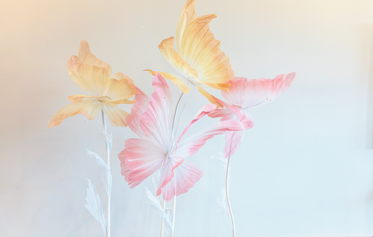 Giant Silk Butterflies for event decor