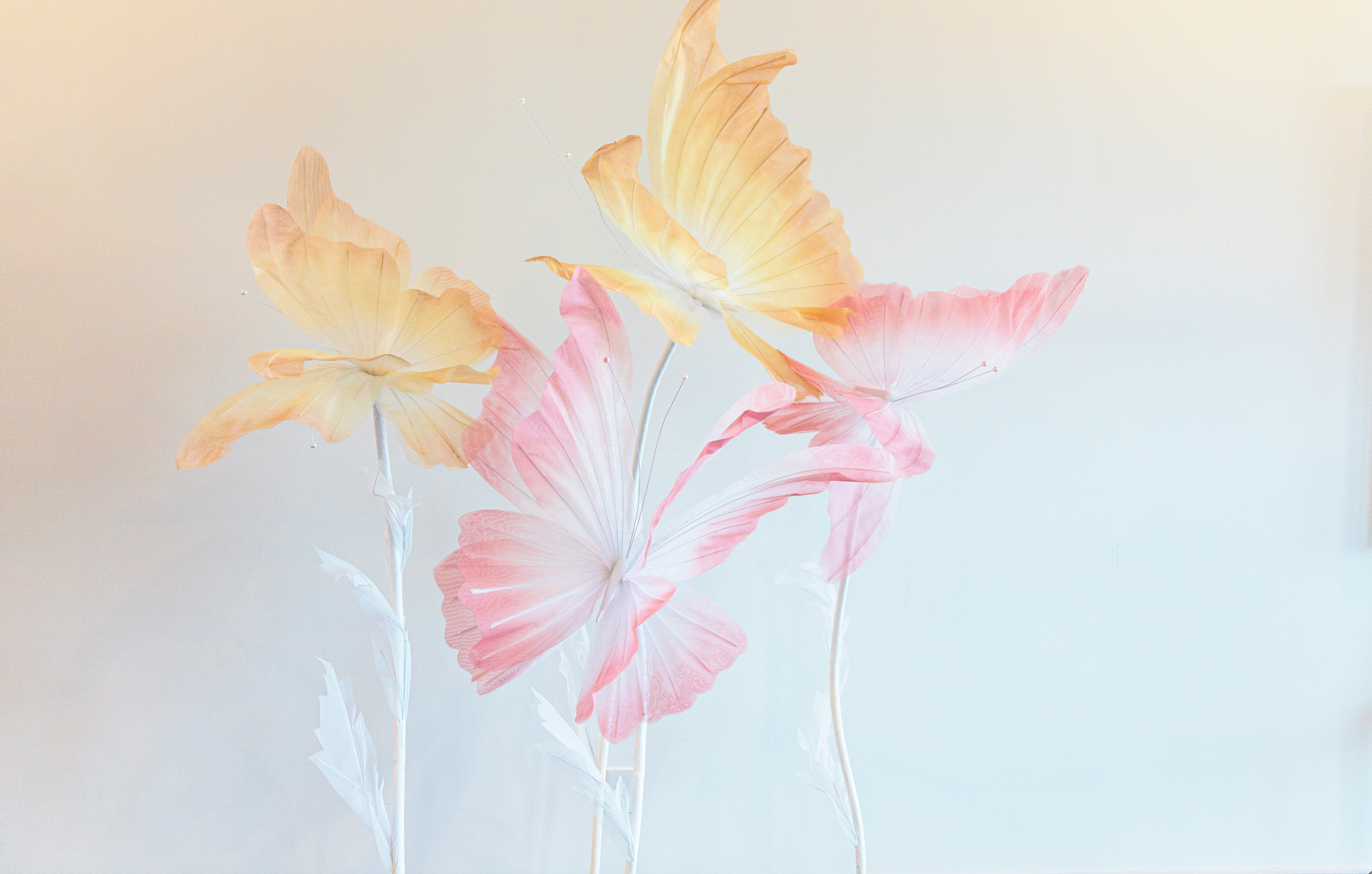 Giant Silk Butterflies for event decor