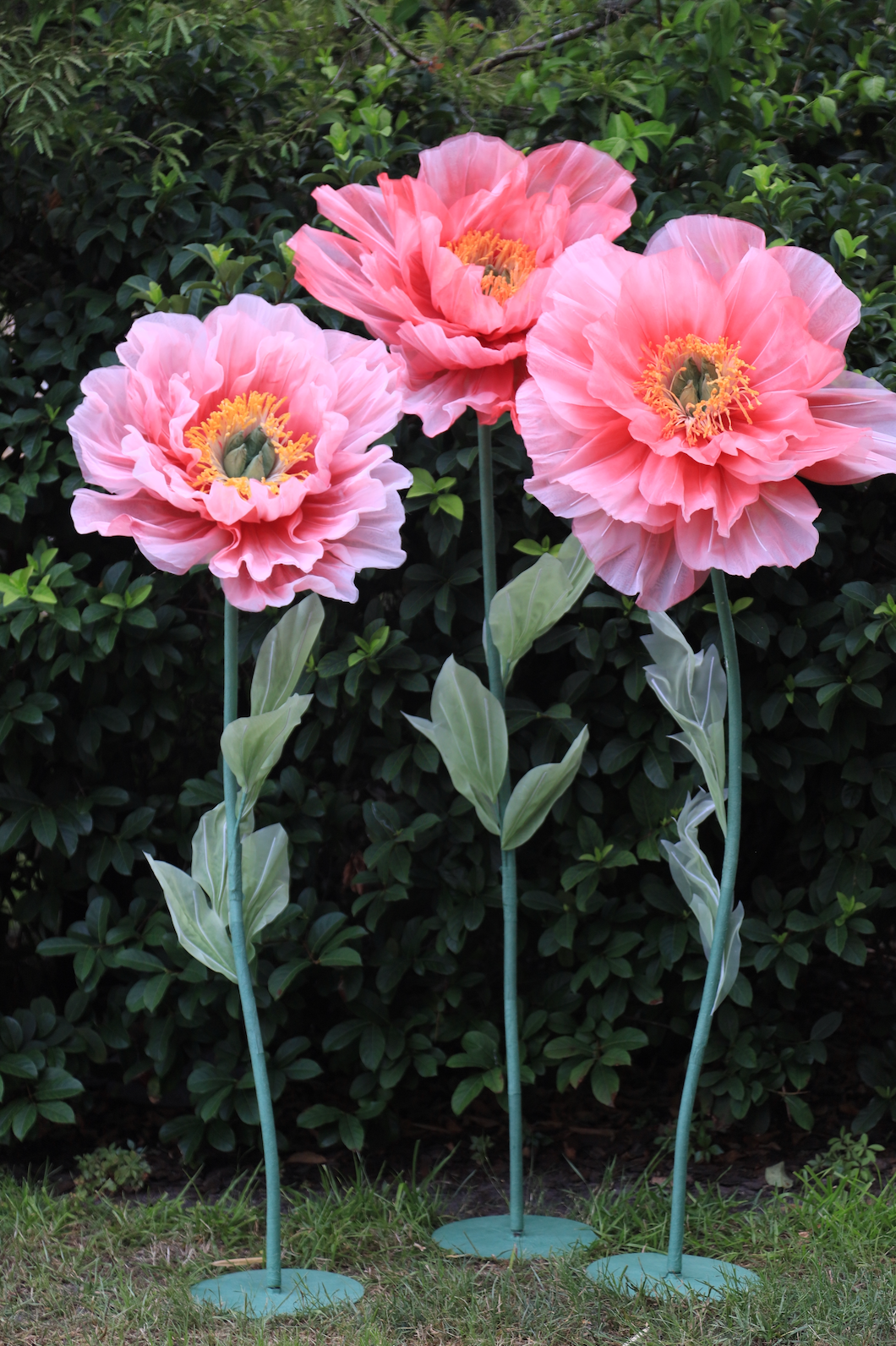 Giant Flowers USA