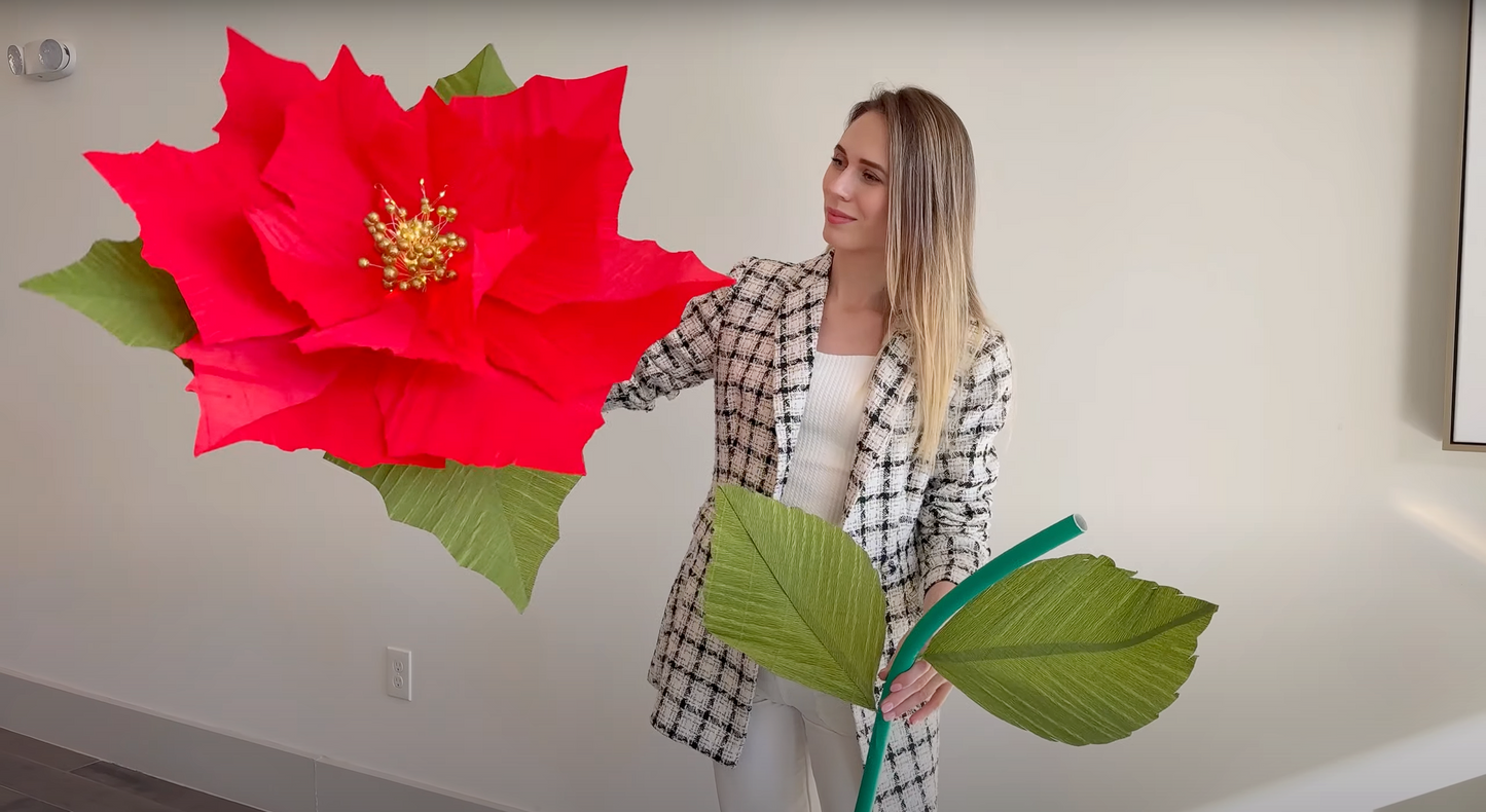 Alina blossom holding a Giant model of a Christmas flower against a plain wall.