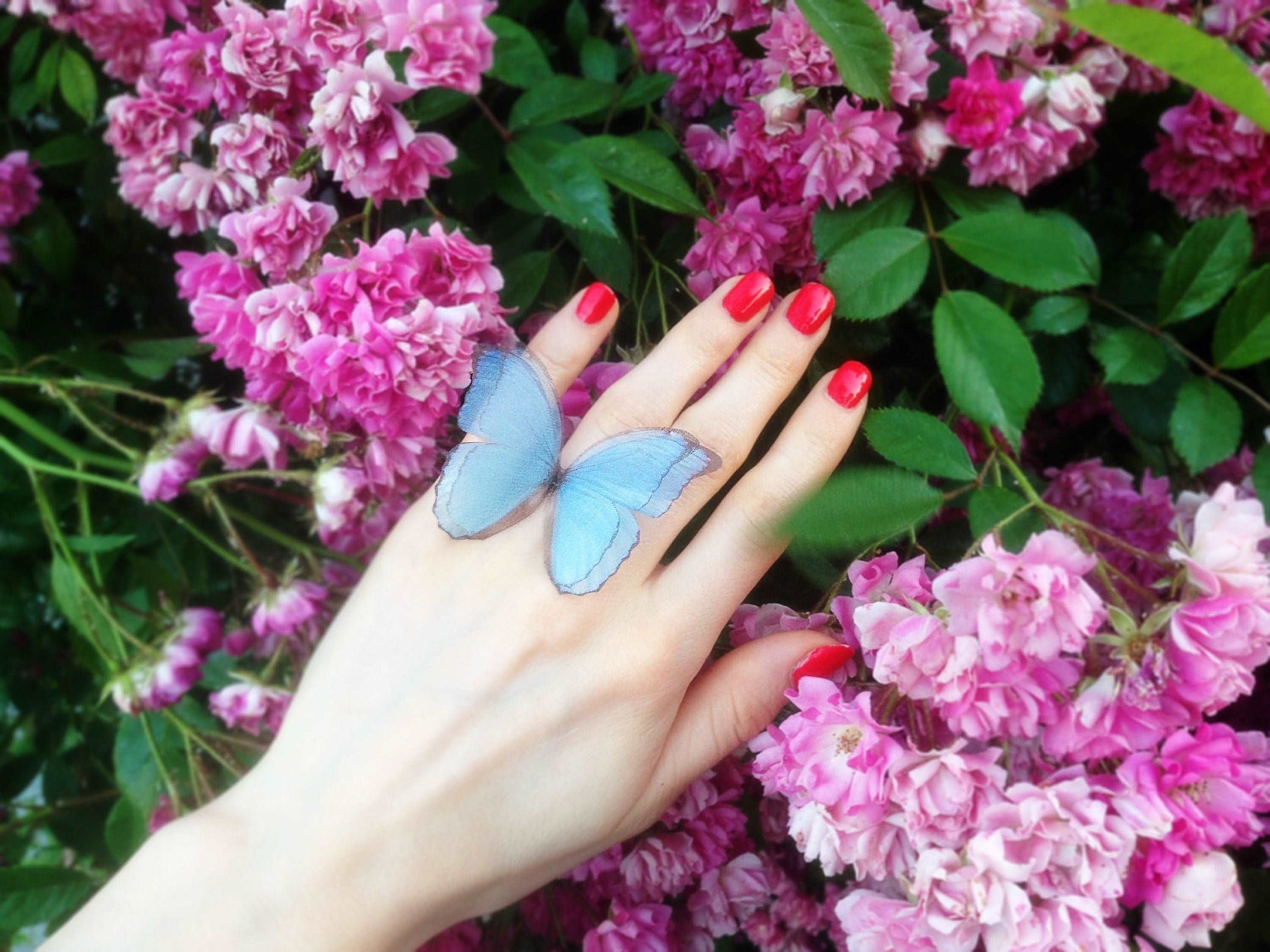 Adjustable band on blue butterfly ring, perfect fit for any finger