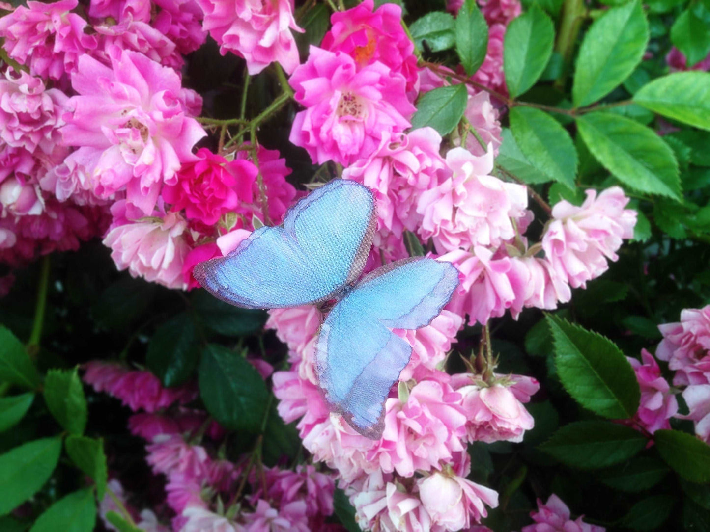 Unique one-of-a-kind butterfly ring in boho fashion