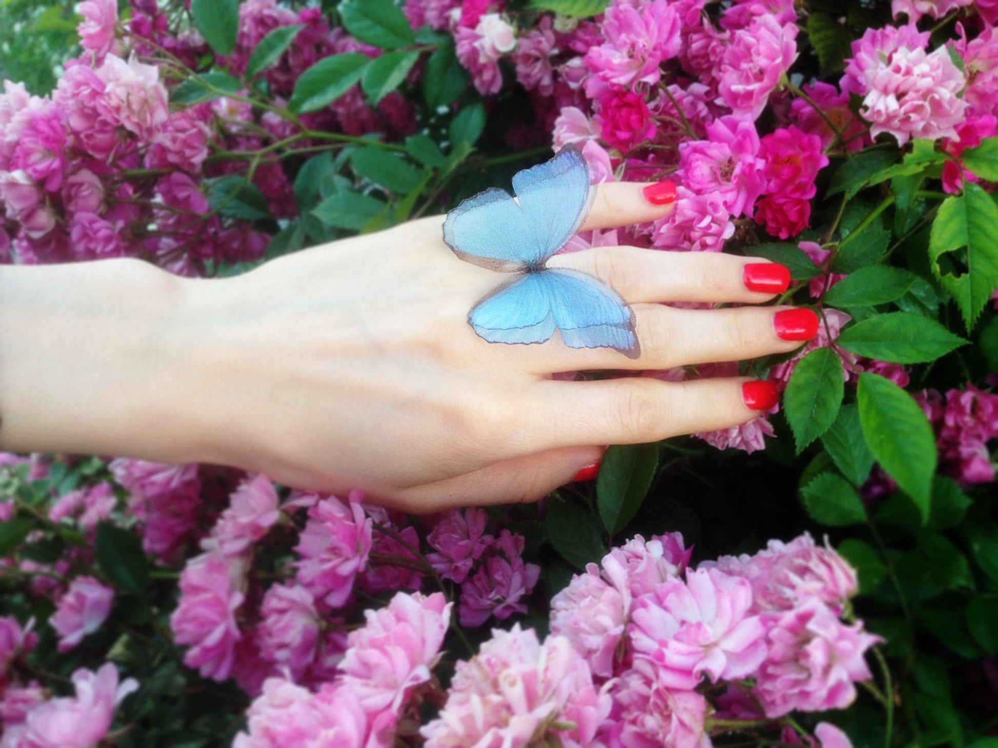 Intricate details of butterfly wings on blue ring