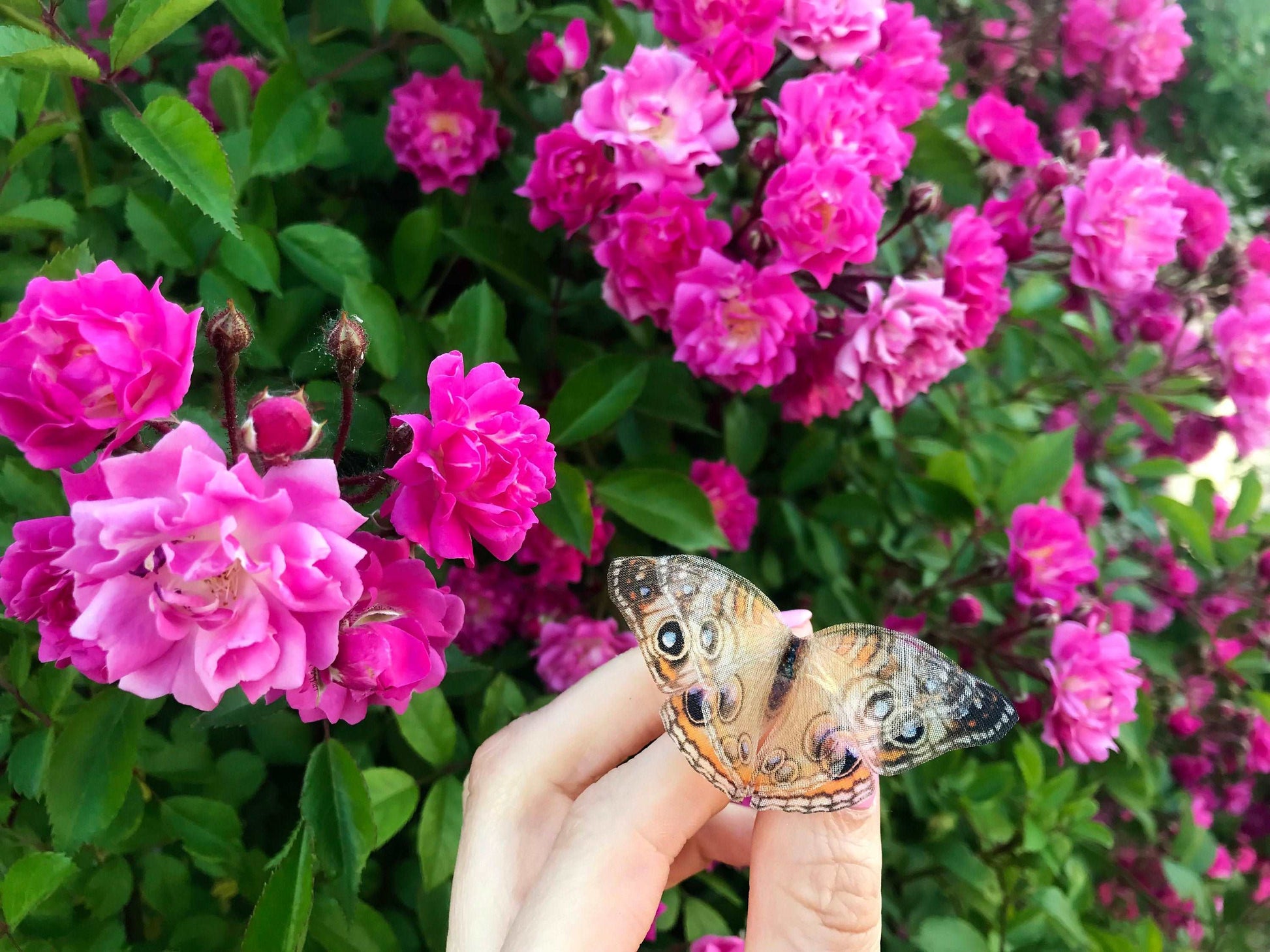 Oversized moth ring in silver