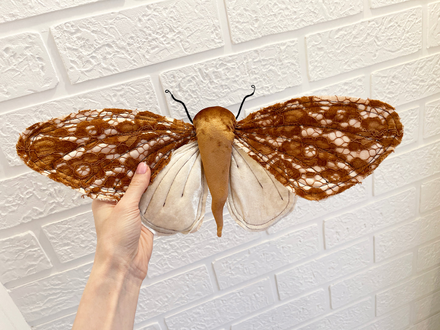 Textile Soft Sculpture Moth for Home Decor