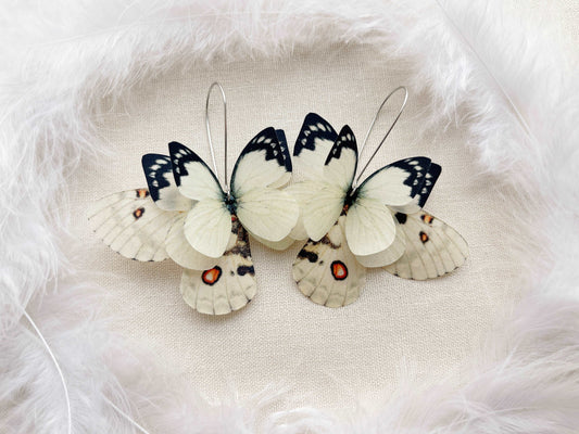 Ivory butterfly wings earrings in boho style