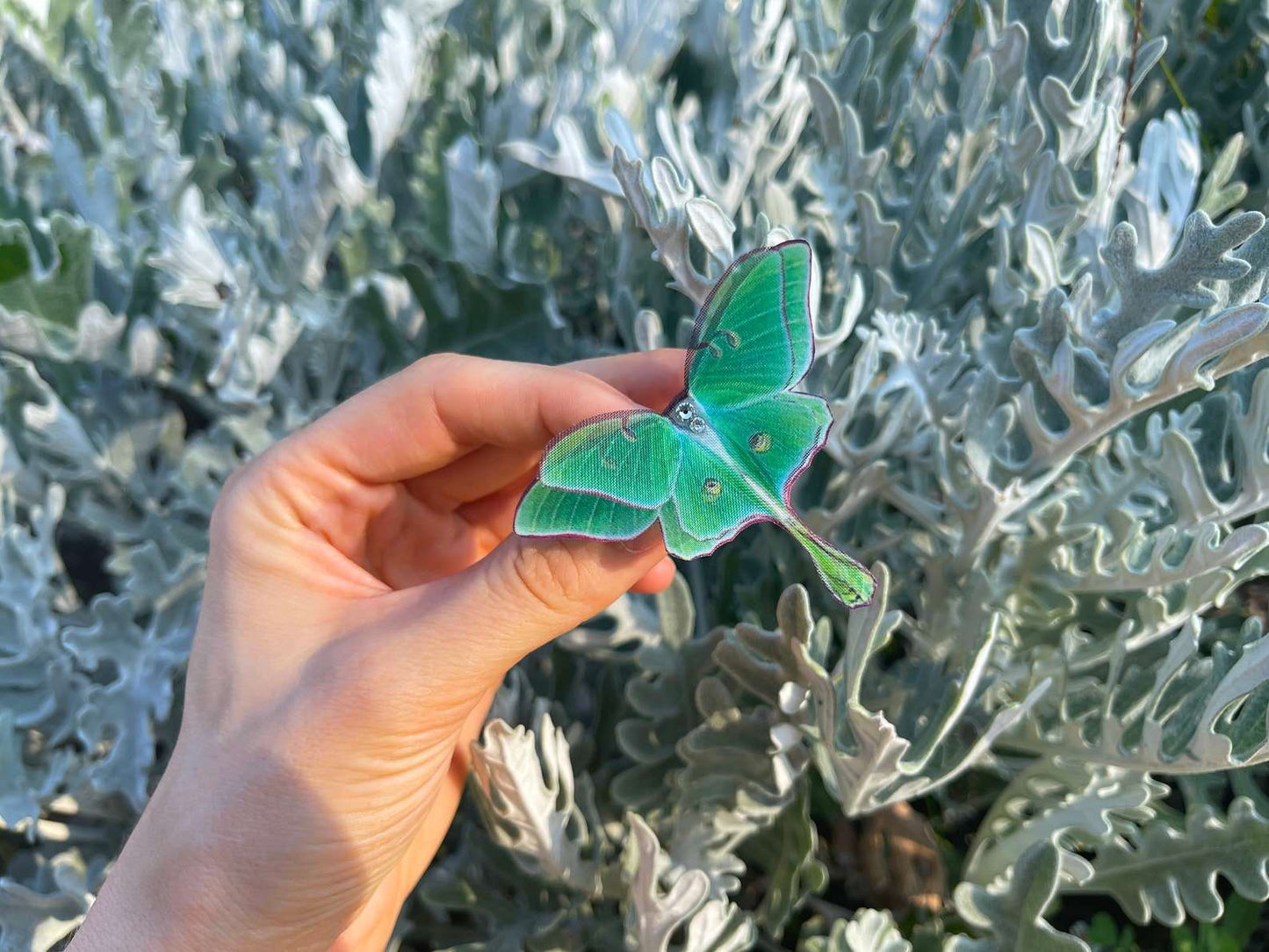 Close-up of Luna Moth design on handmade ring