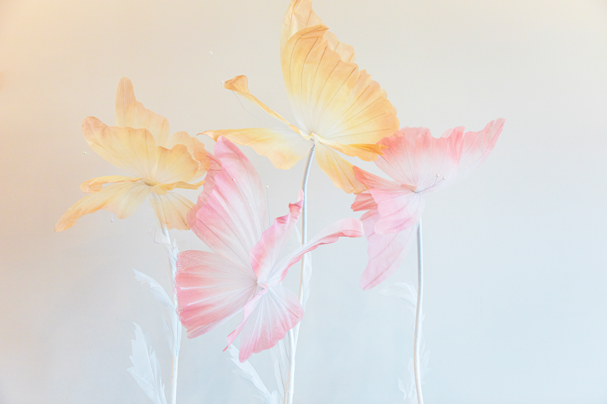 Giant Pink and Yellow Butterflies for event decor
