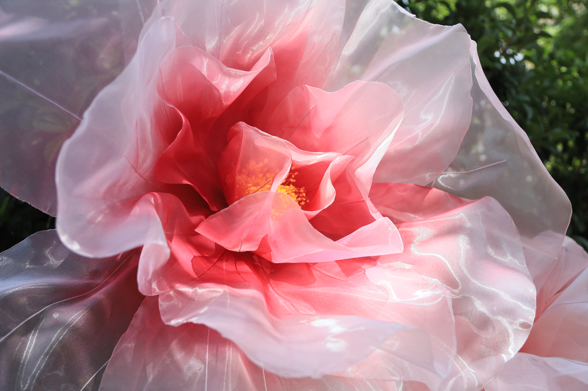 Fast Shipping Giant Flowers