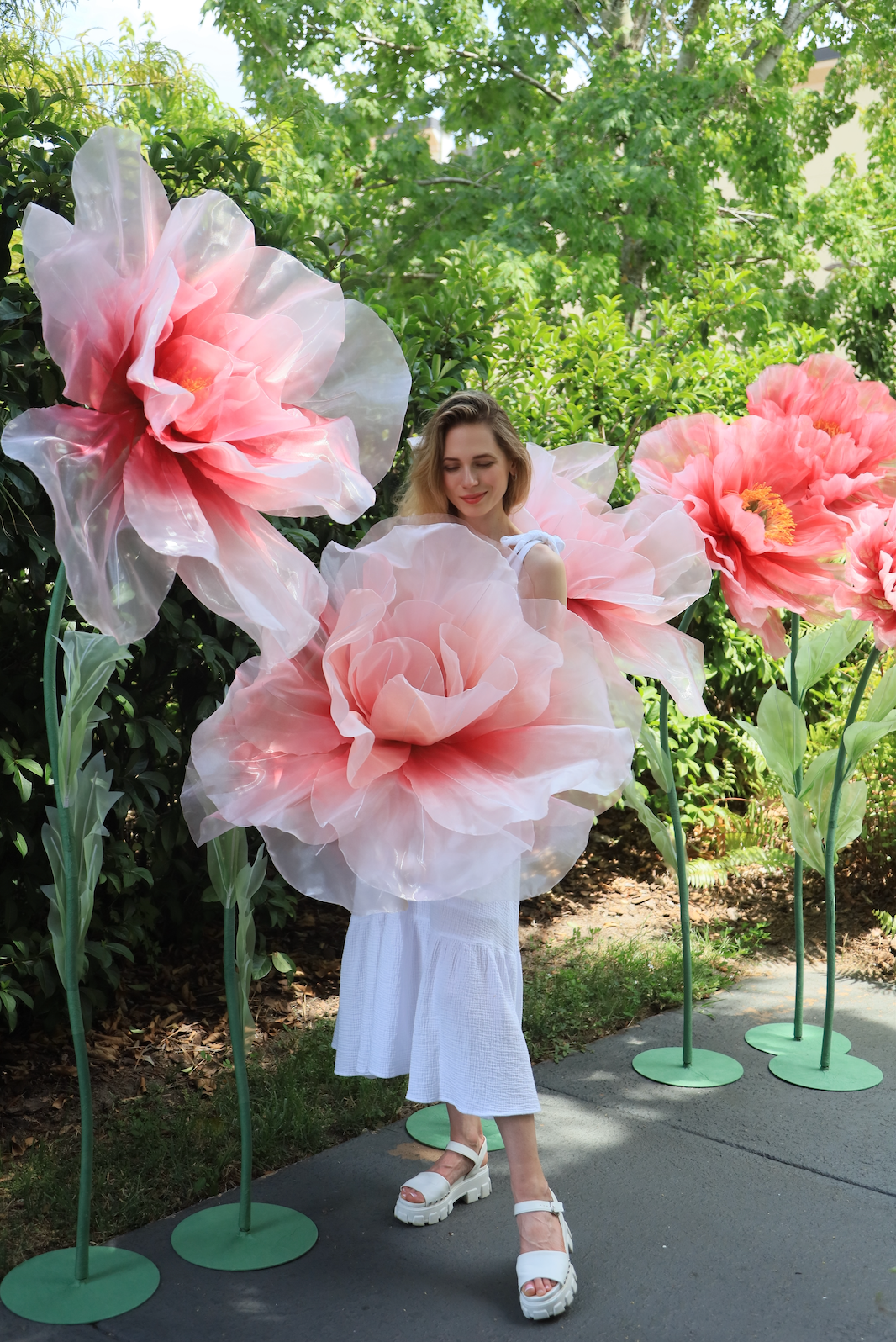 Giant Pink Flowers for Sale shipping from US