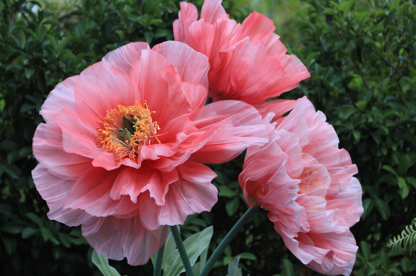 Giant Flowers for events