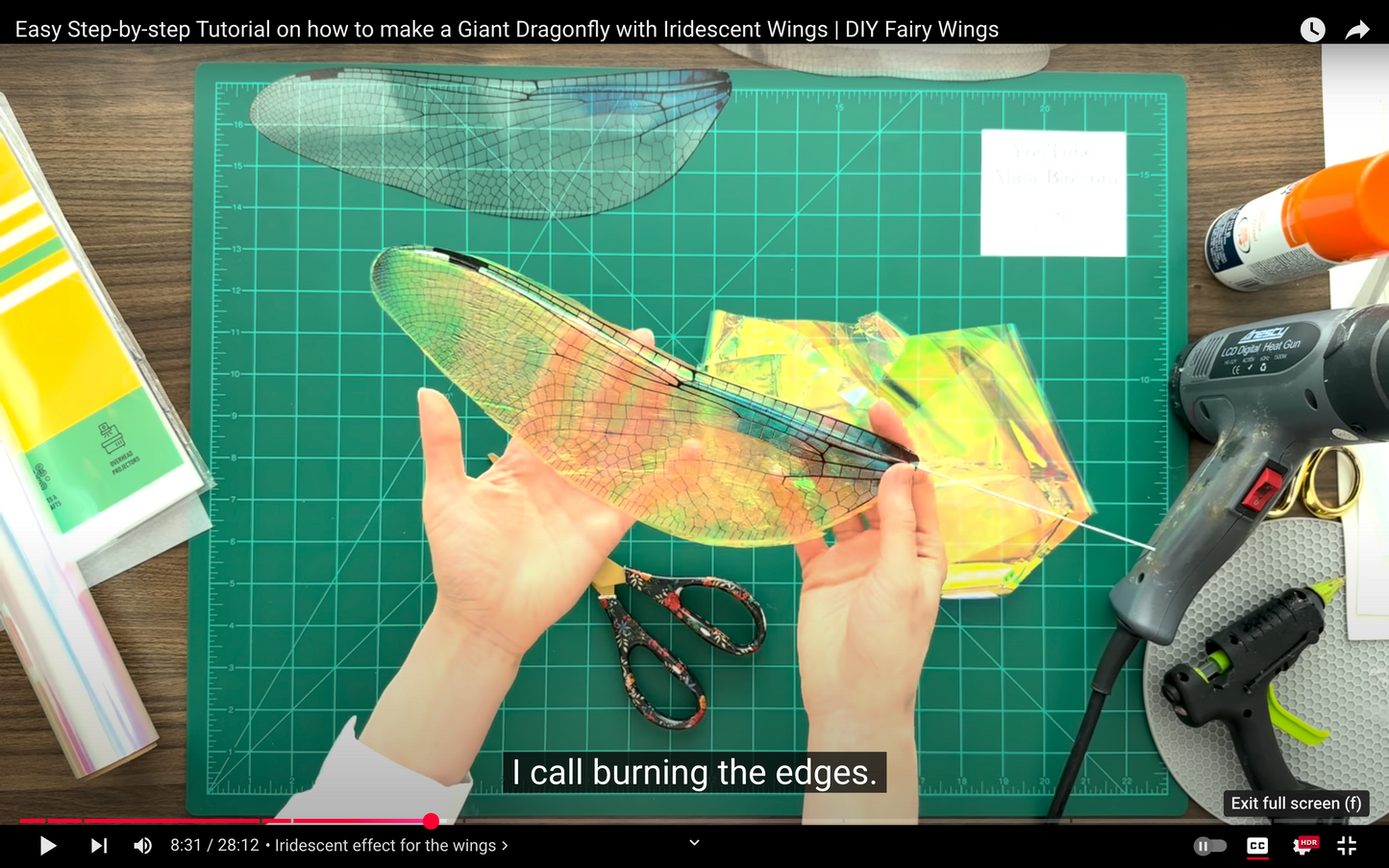 Step-by-step tutorial on making a Giant Dragonfly with iridescent wings using a hot glue gun.
