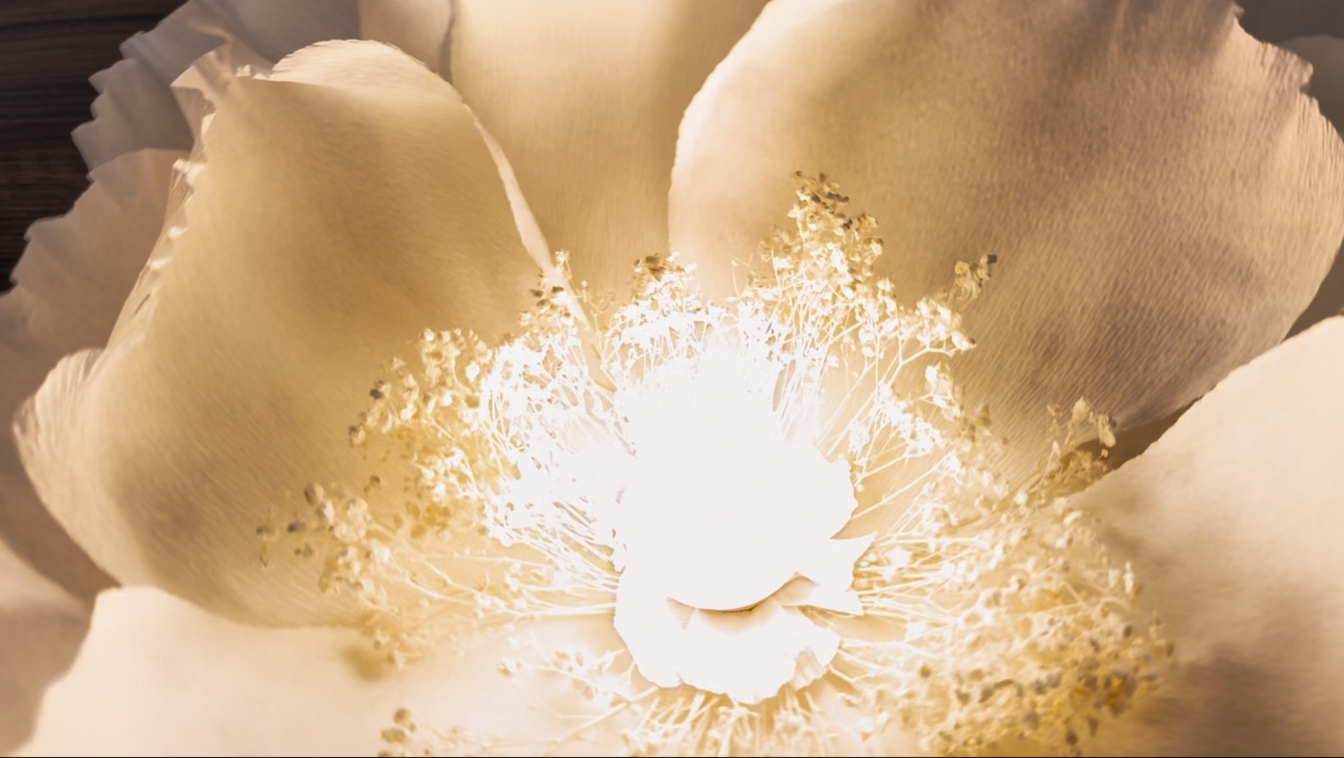 Illuminated paper flower lamp centerpiece glowing warm light