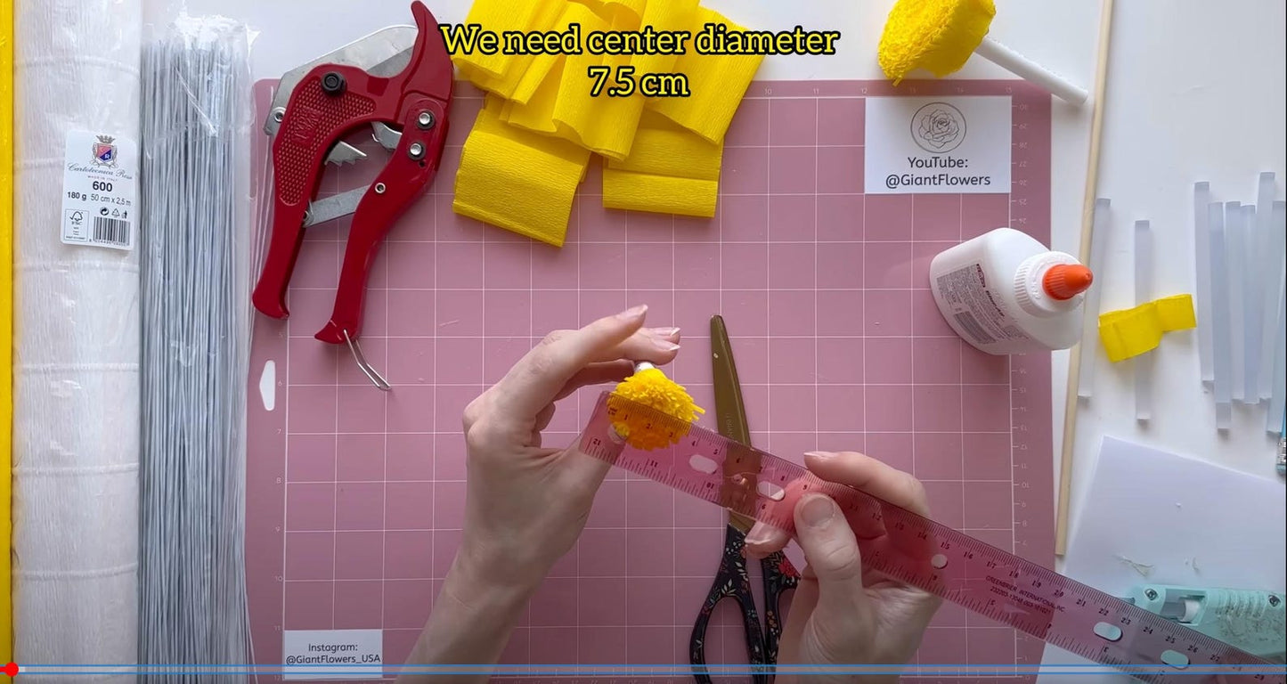 Person measuring yellow flower center diameter with a ruler on a pink cutting mat.