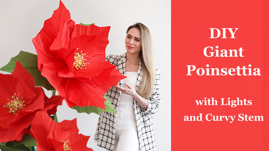 Alina Blossom holding a large red poinsettia with lights and a curvy stem, on a white background.