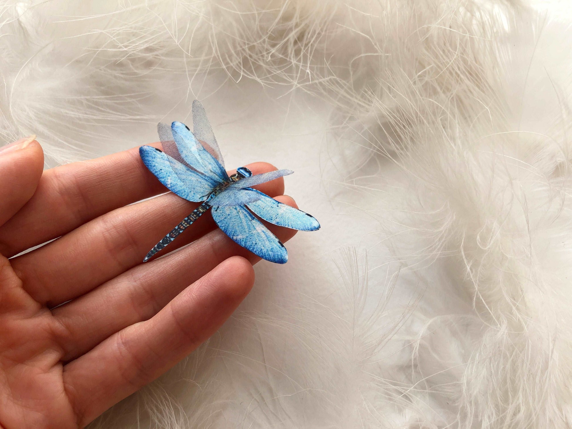 3D Blue Dragonfly on hand with White Feathers Background