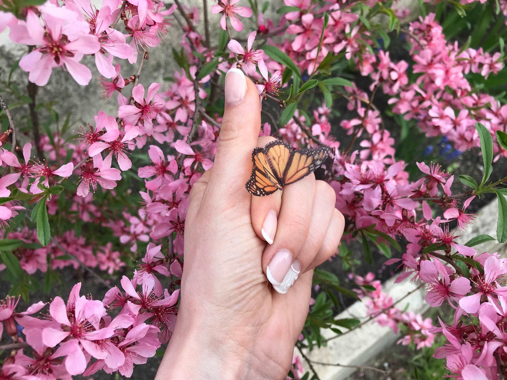 Side view of the Monarch Butterfly Ring, Boho Style Statement Ring