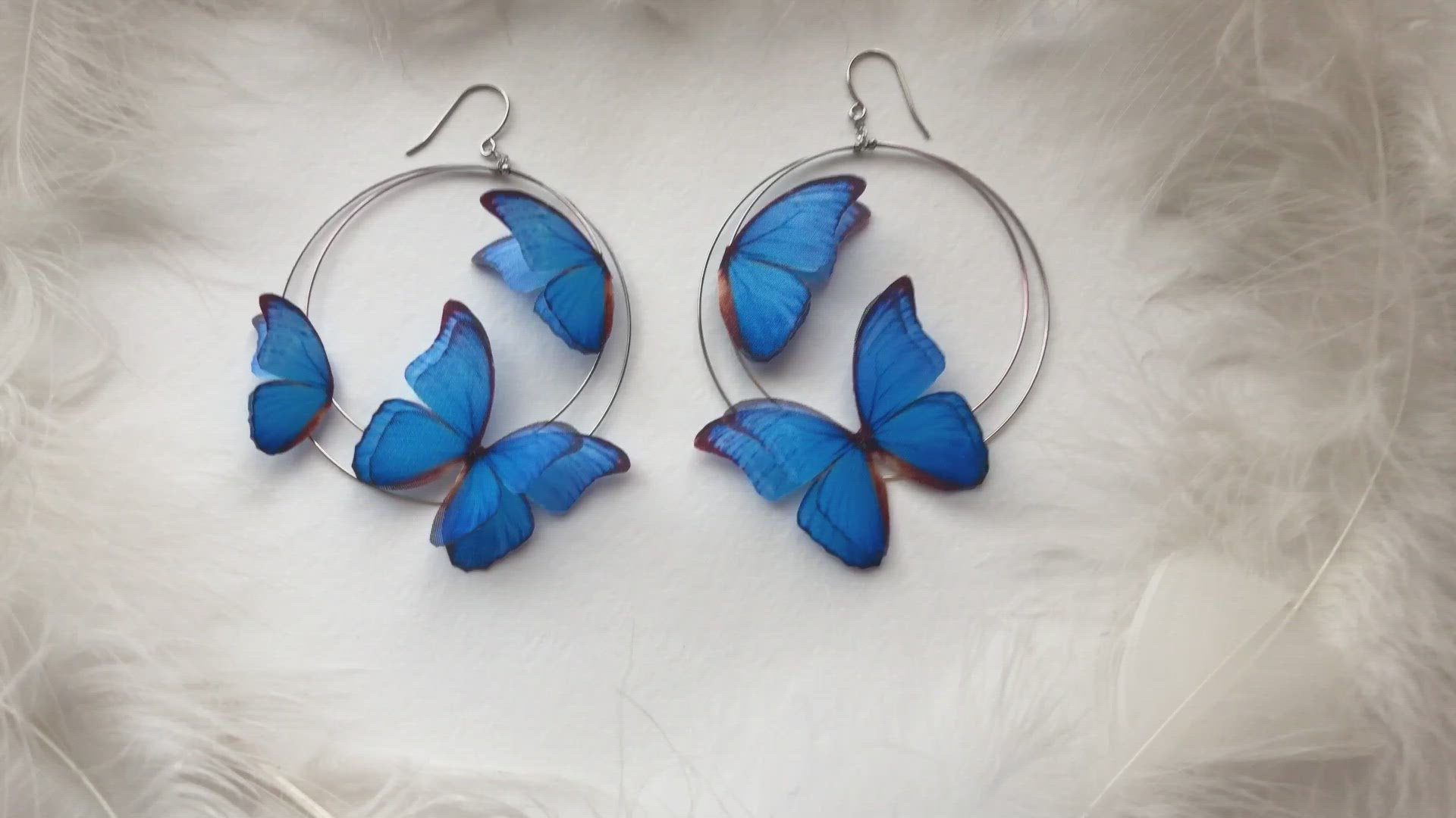 Silver Hoop Earrings with Blue Butterflies on White Feathers Background