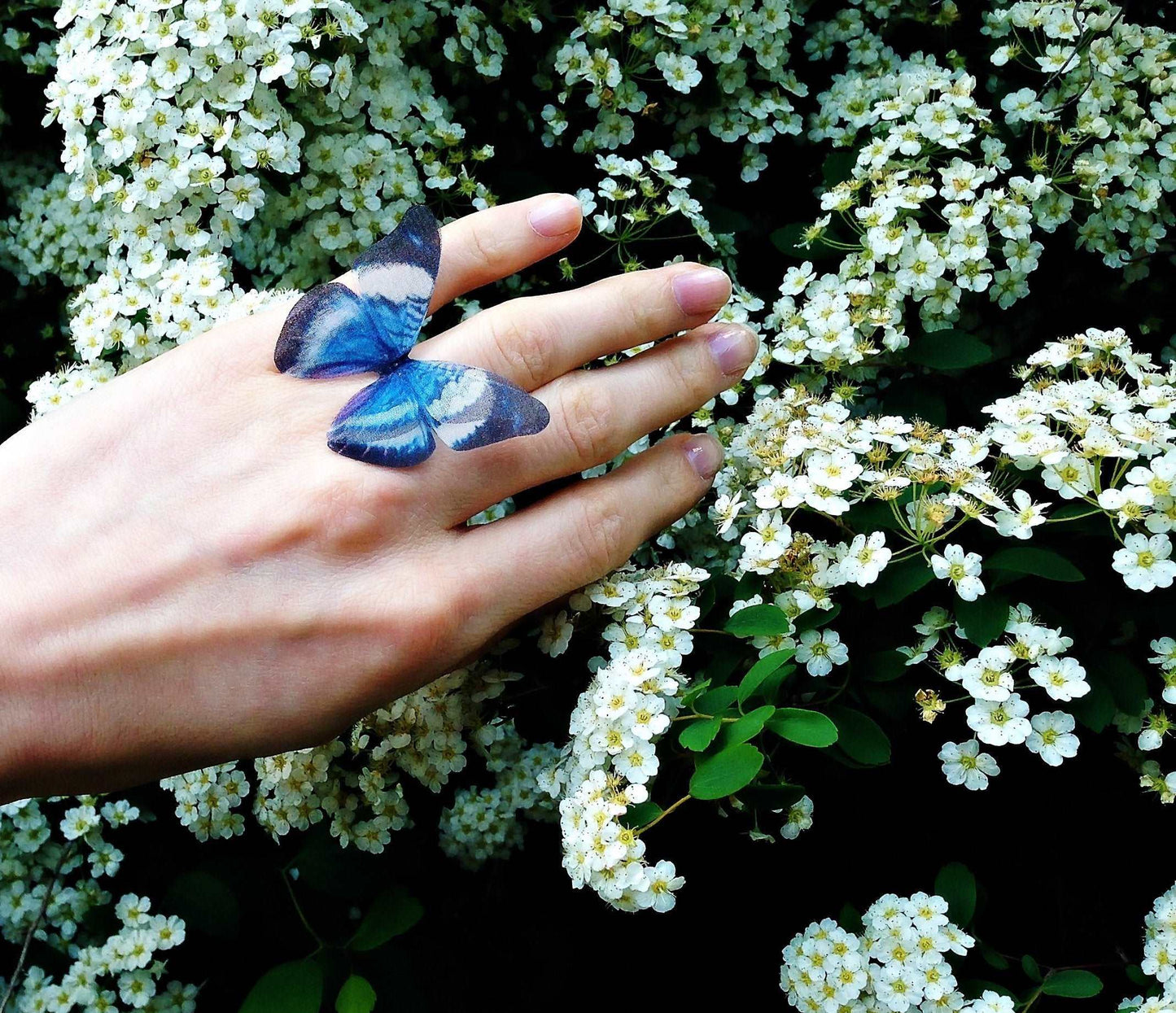 Ring with Egyptian Blue Silk Butterfly - Silk Butterflies