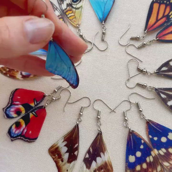 Lightweight Butterfly Wings Earrings with Transparent Effect