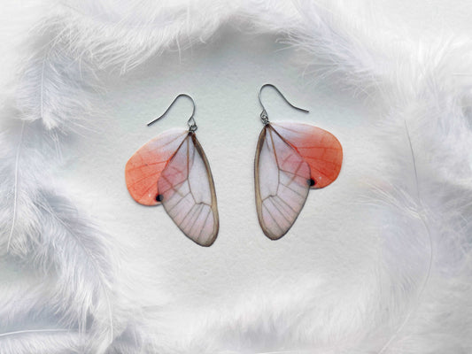 Light Pink Glasswing Butterfly Wing Earrings