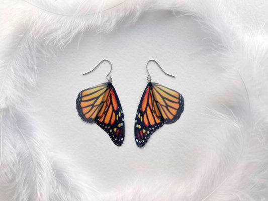 Monarch Butterfly Wing Earrings on display
