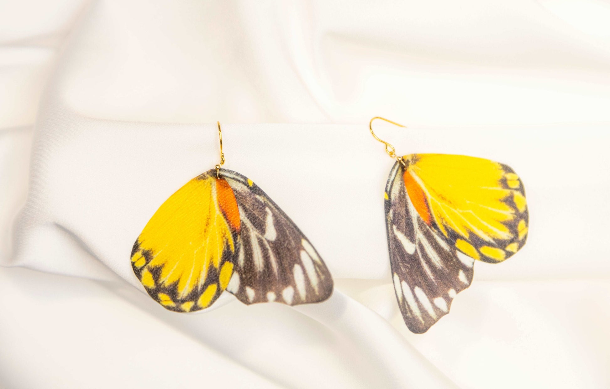 Cool Earrings with Moth and Butterfly Wings design