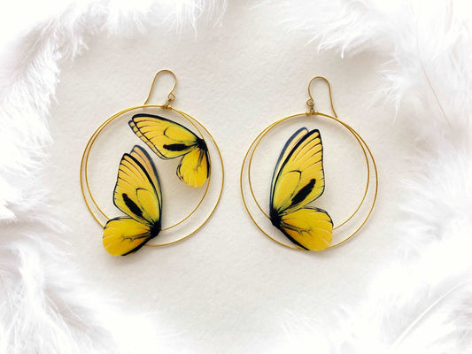 Double Hoop Earrings with Yellow Butterflies on White Background and Feathers