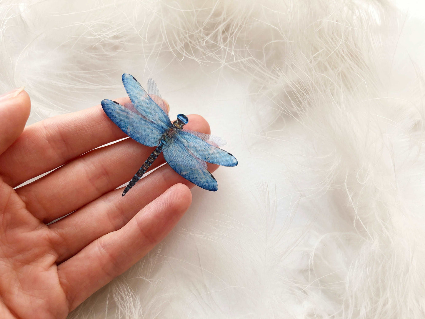 Blue Dragonfly on Hand with White Background and Feathers