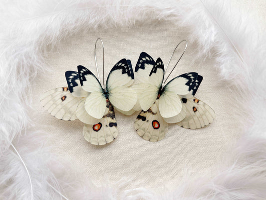 Ivory butterfly wings earrings in boho style