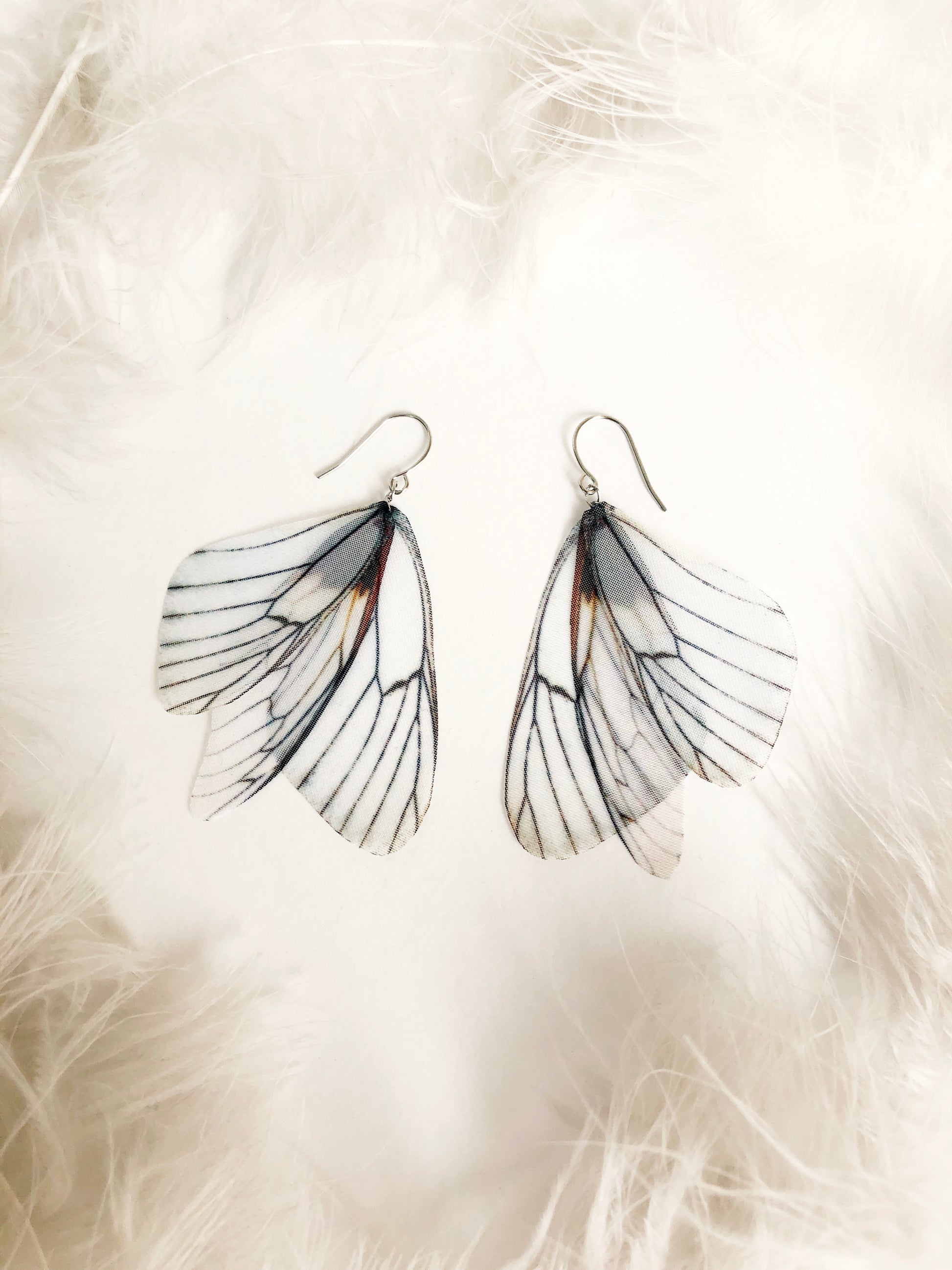 Ivory white moth wing earrings on a white background