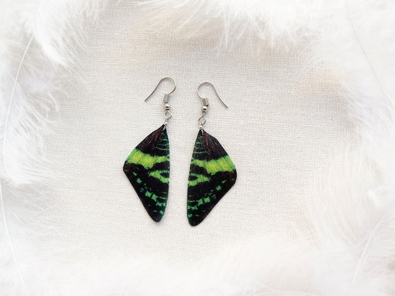 Green Sunset Moth Dangle Earrings - wing jewelry