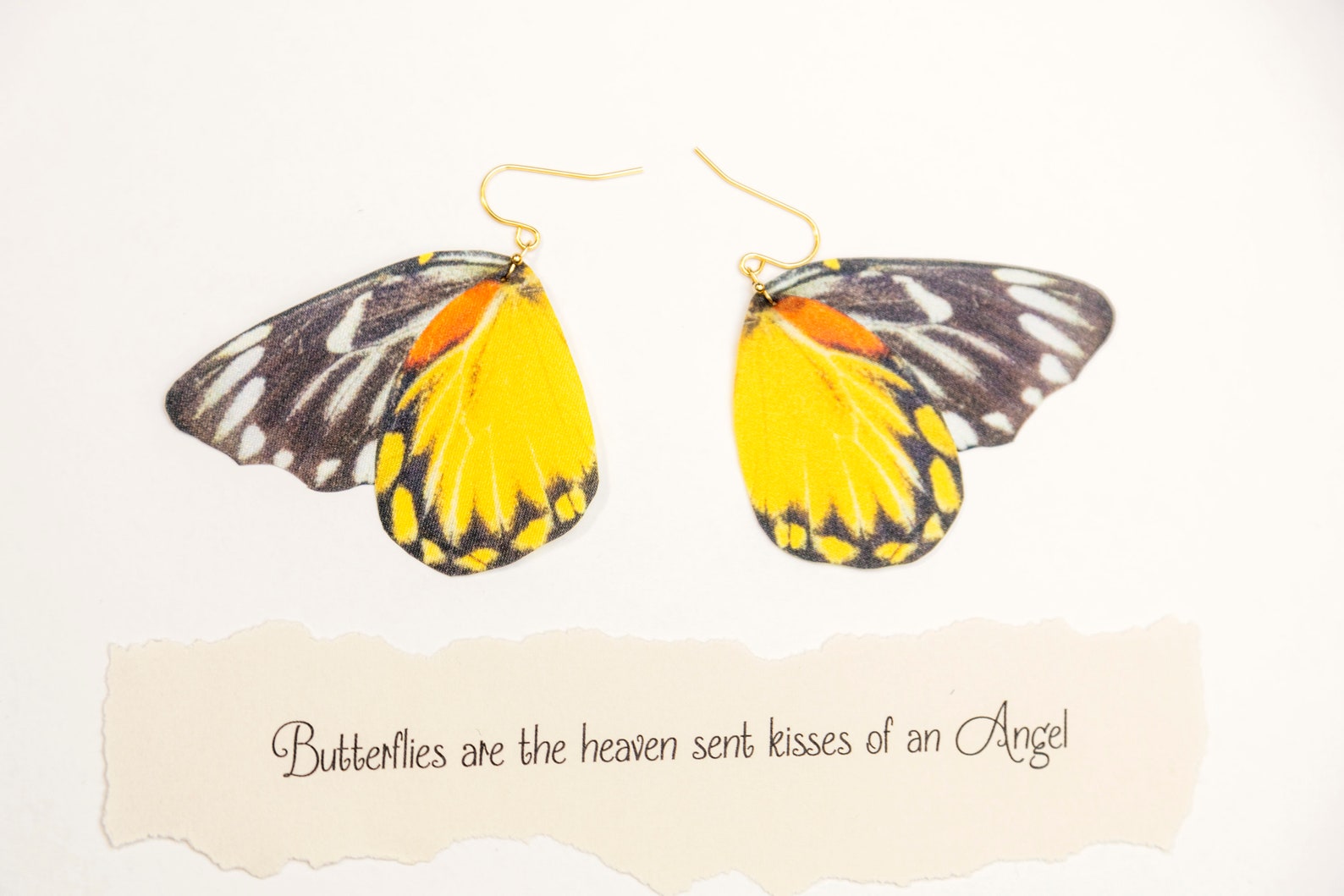 Close-up of Butterfly Wings Earrings